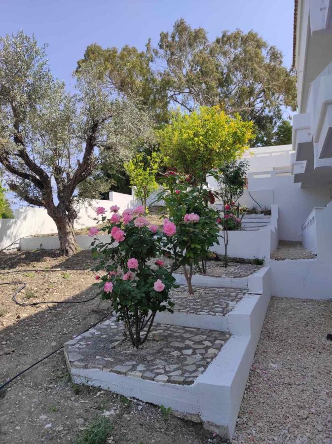 Arocaria - Faliraki Peaceful Apartments Bagian luar foto