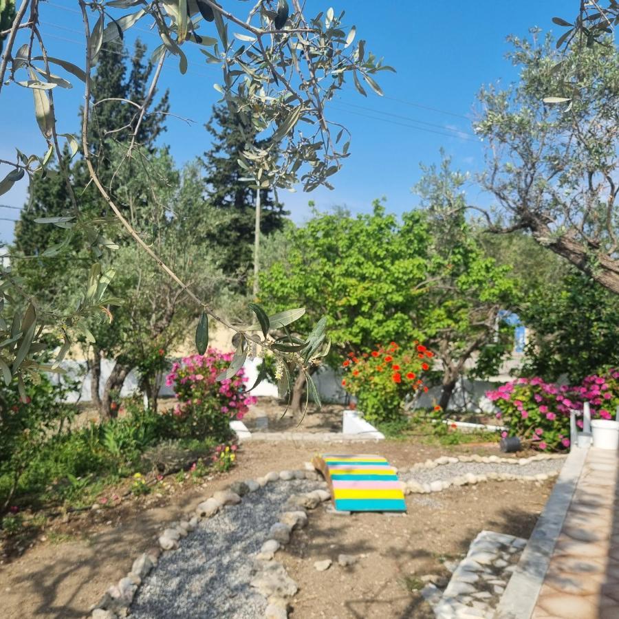 Arocaria - Faliraki Peaceful Apartments Bagian luar foto